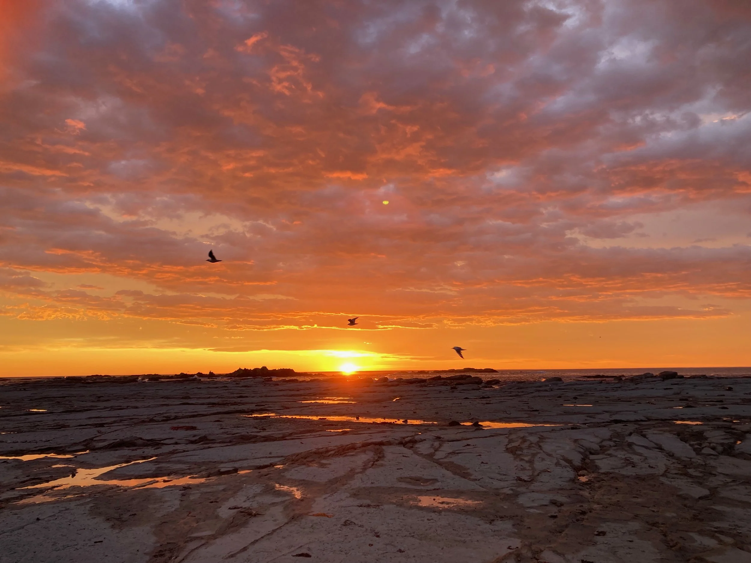 Kaikoura sunrise2.jpeg