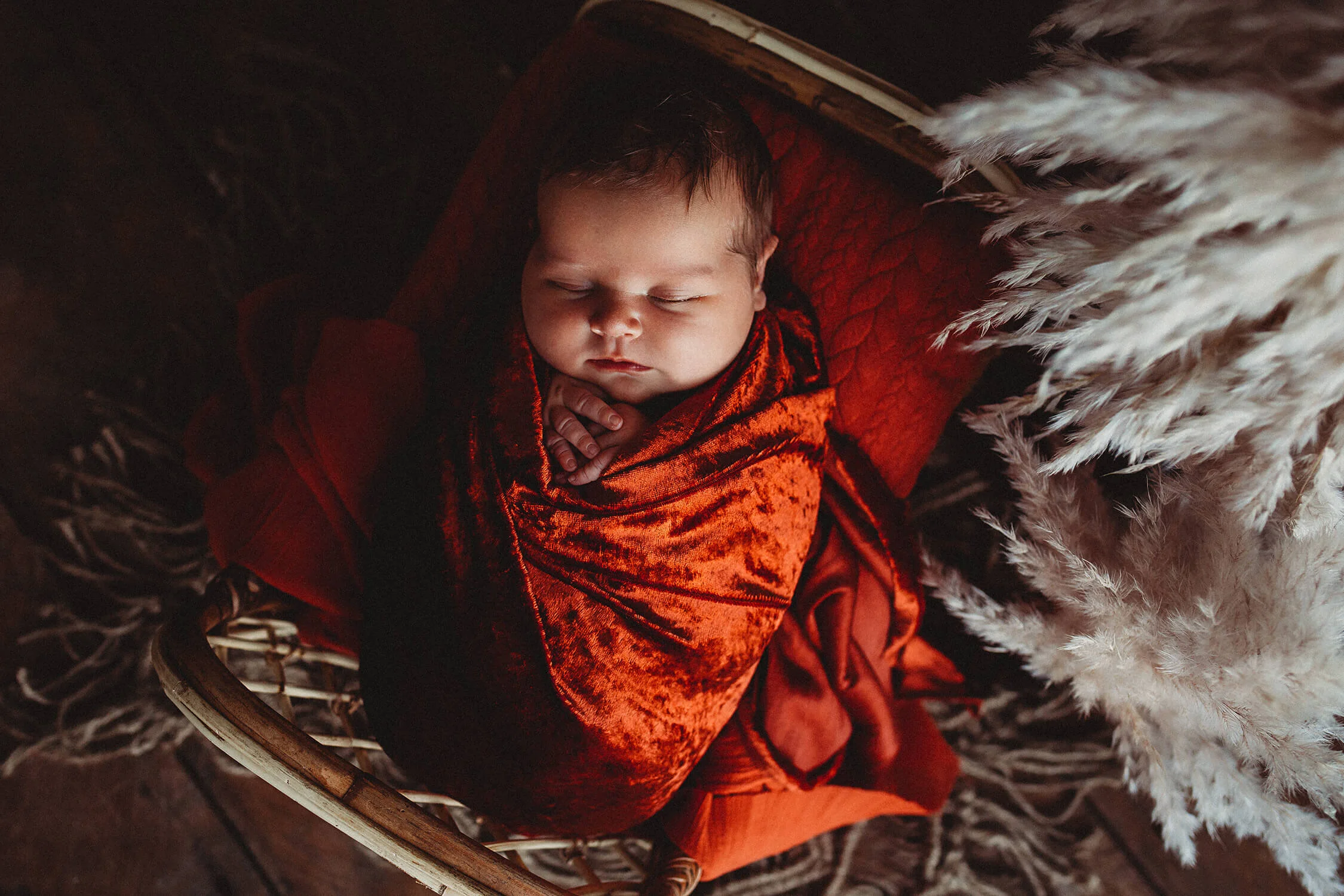Auckland newborn photographer -6.jpg