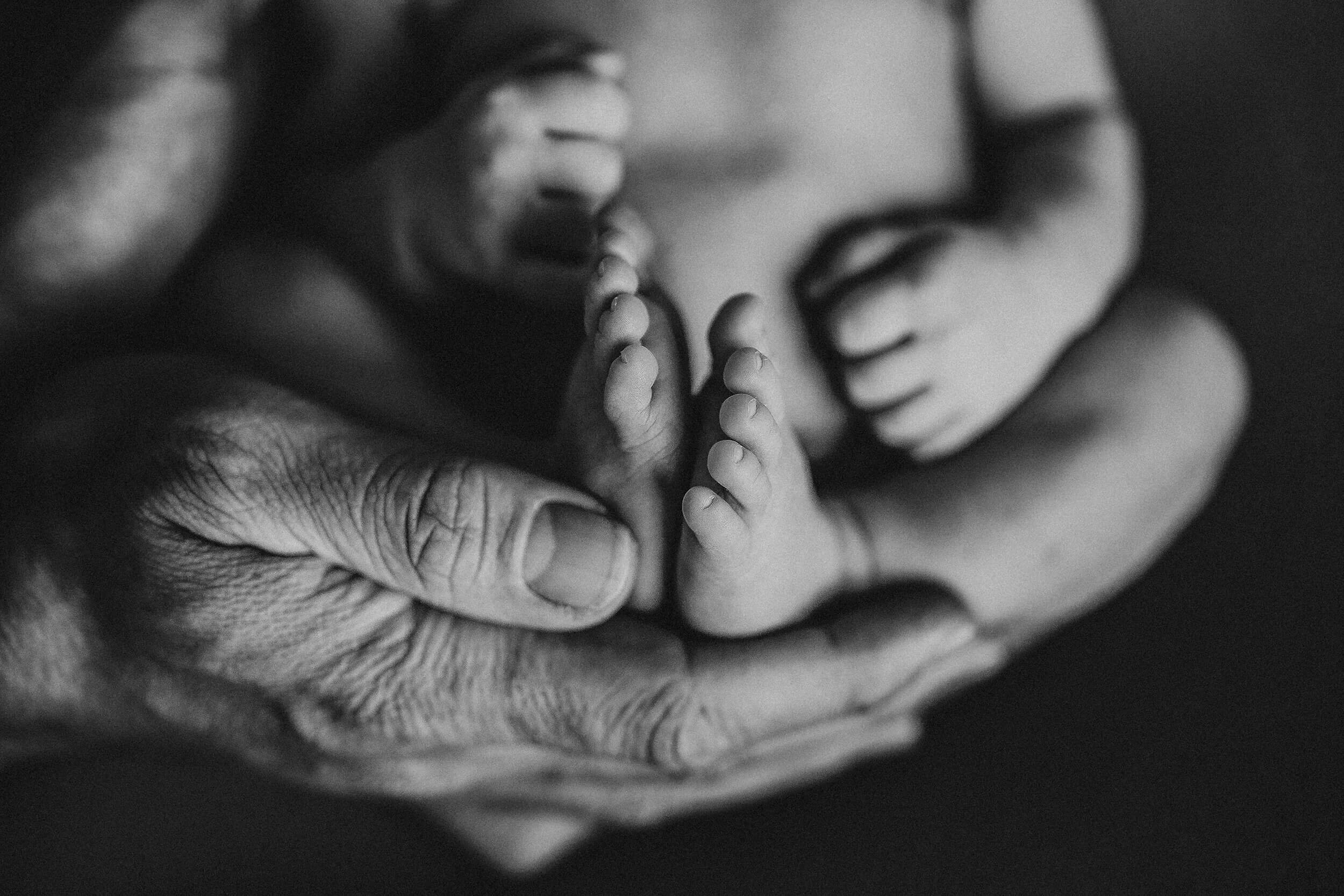 Newborn photography Auckland -33.jpg