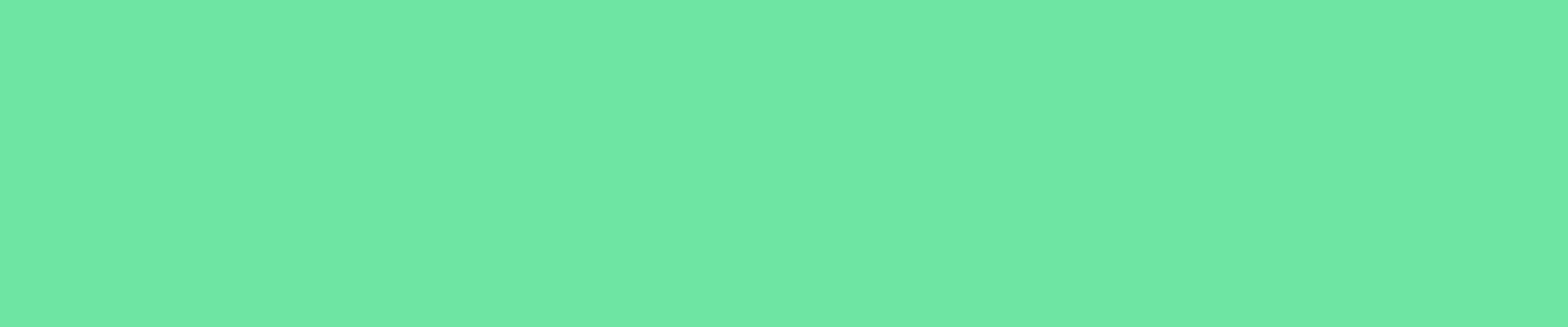 Mint-Banner.png
