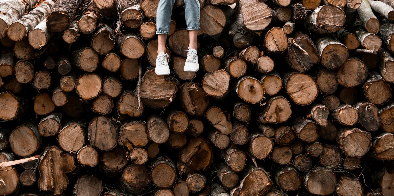 Allbirds_logpile.jpg