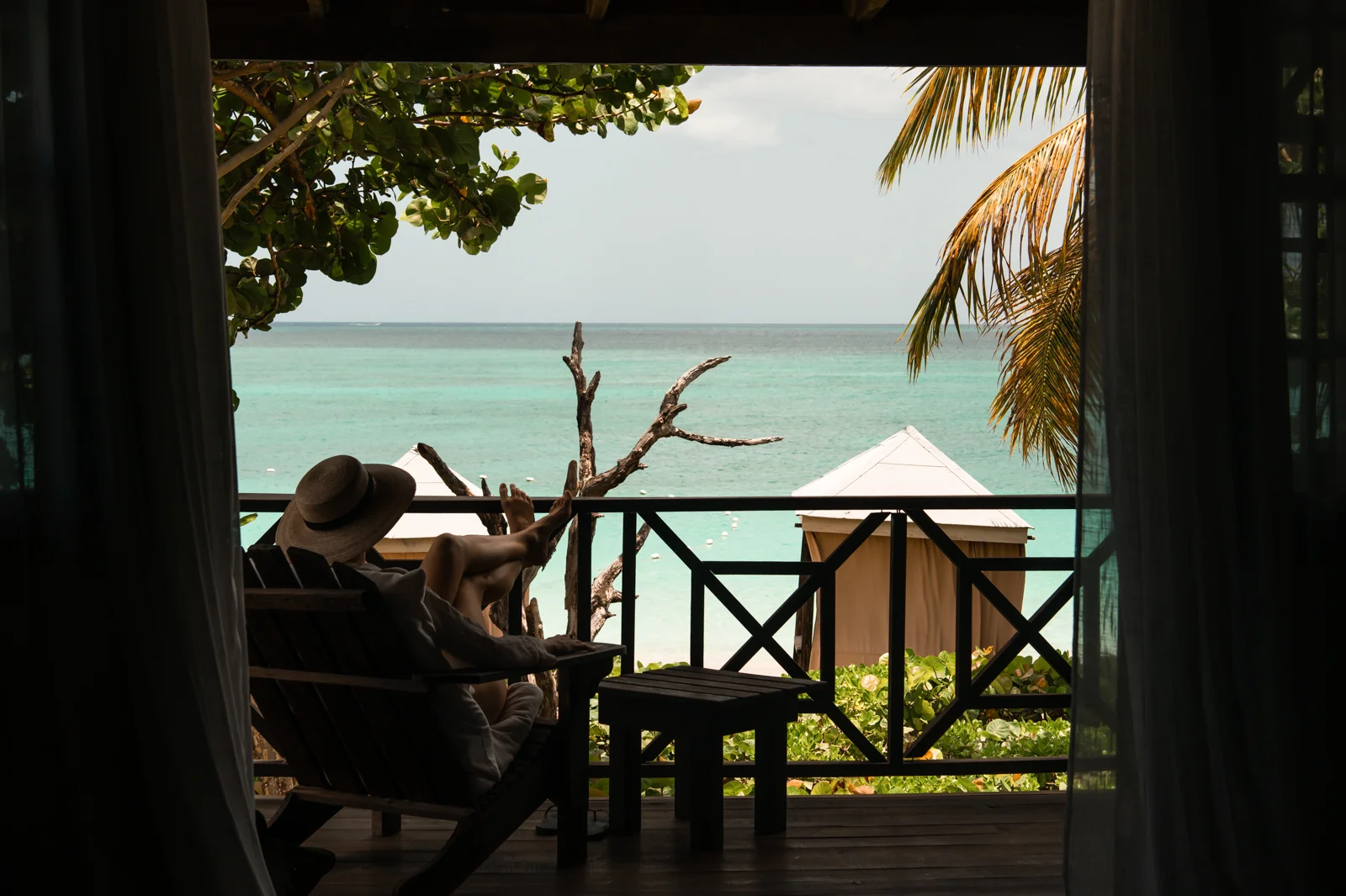 Tropical View.jpg