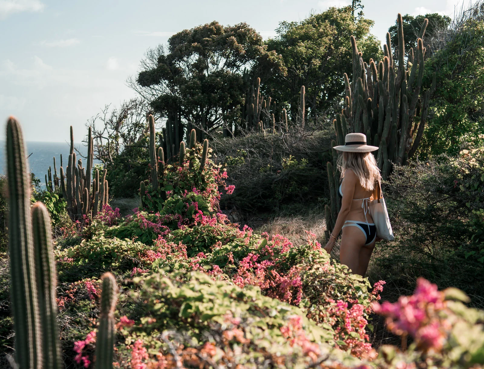 Tropical Garden.jpg