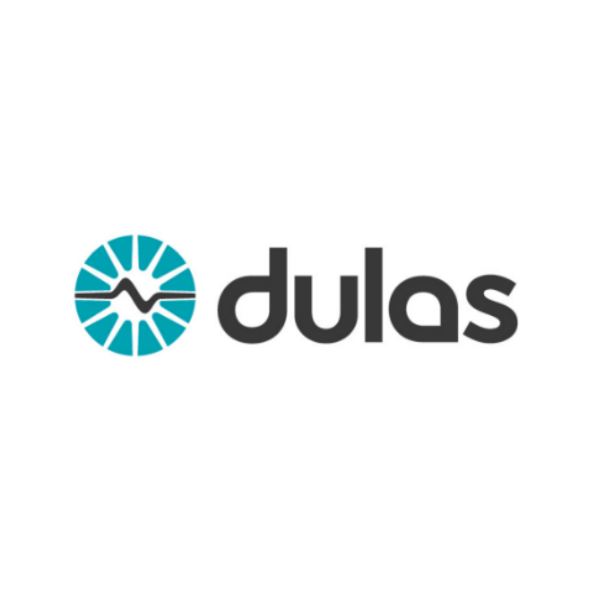 Non-Executive Director, Dulas, Machynlleth