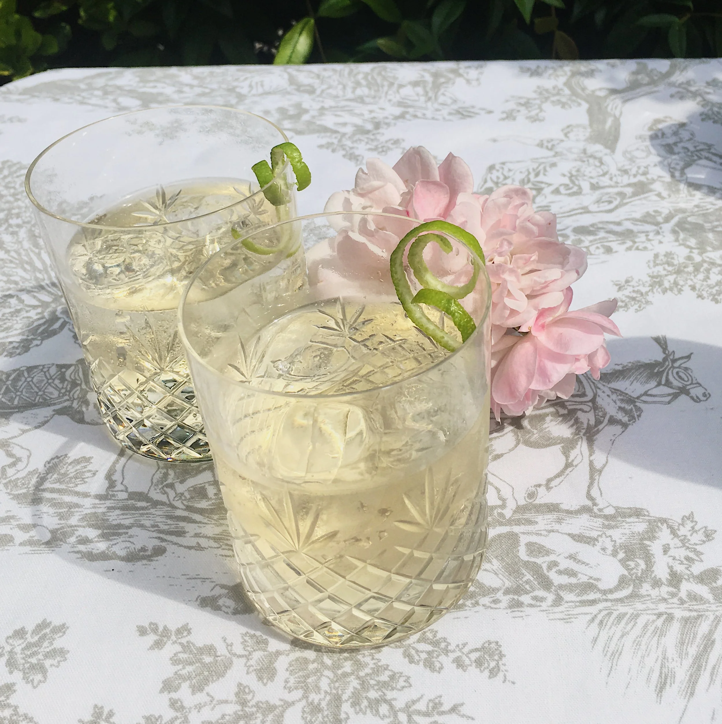 Vermouth &amp; Tonic