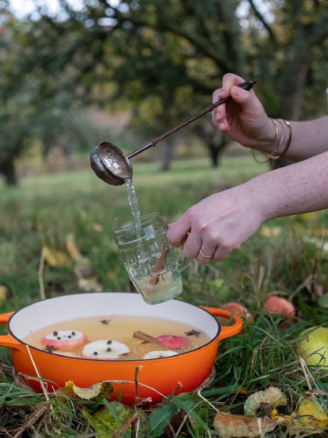 Mulled Apple Recipe