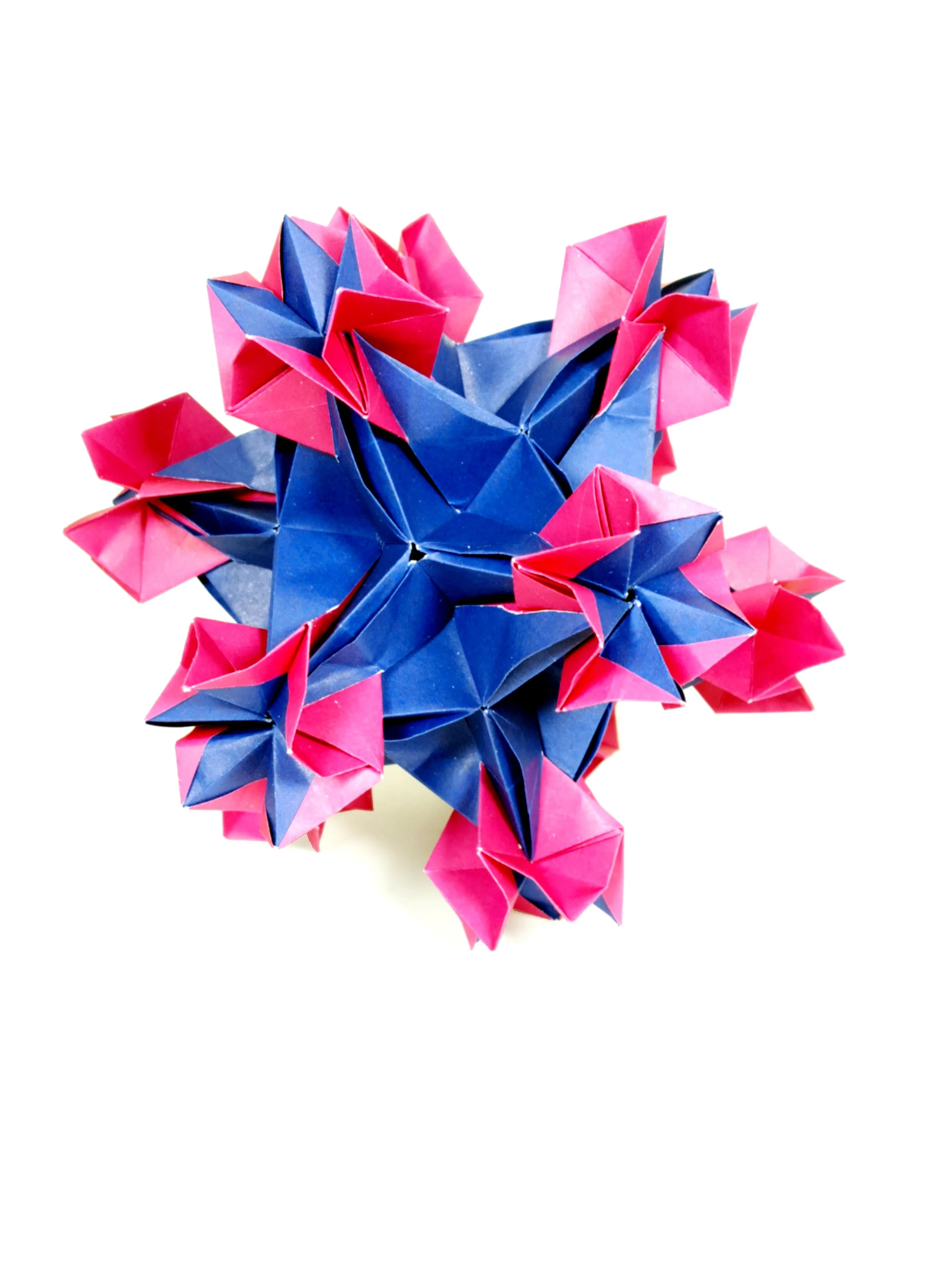 Desert Flower.jpg