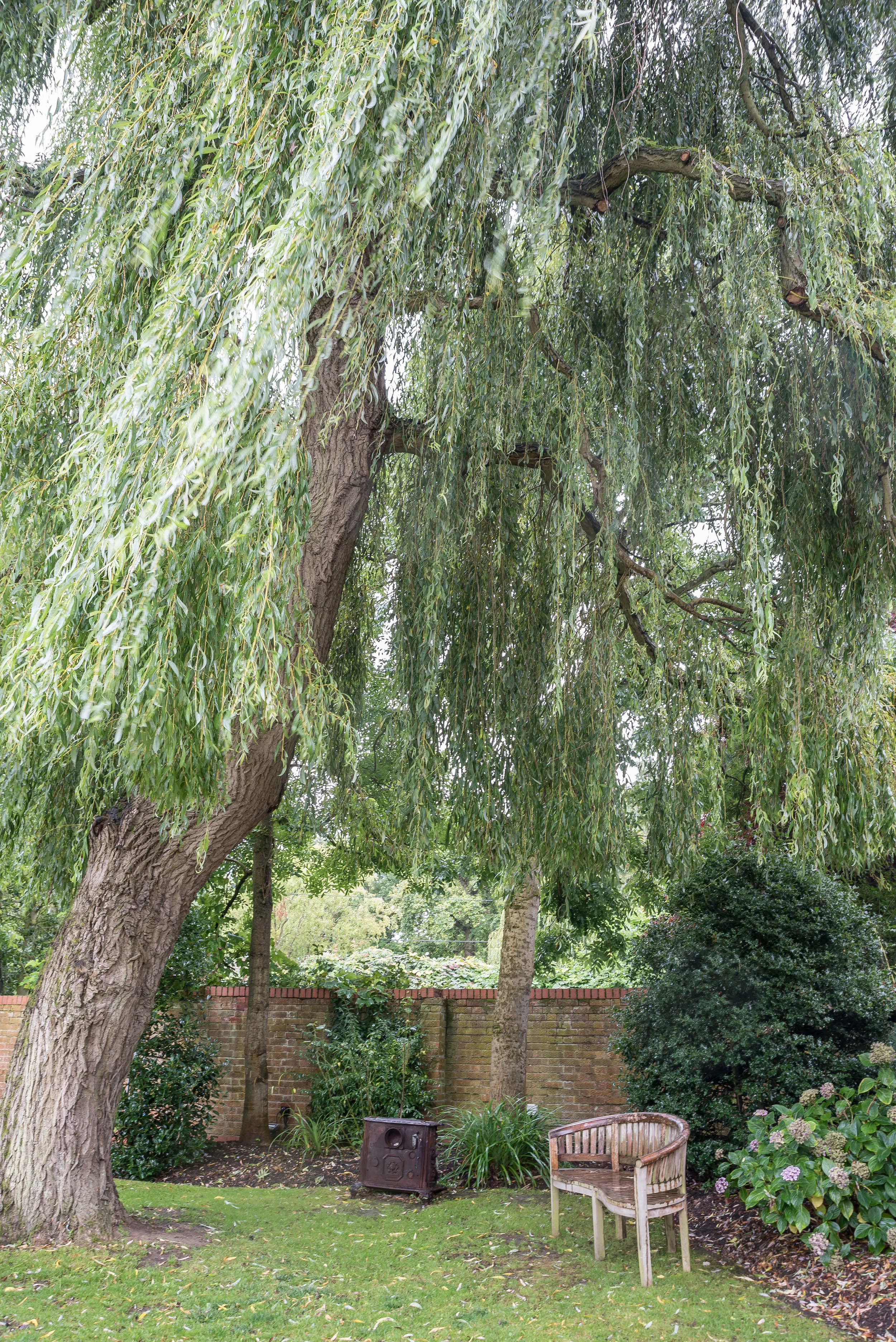 Cricketers-2059 Print.jpg