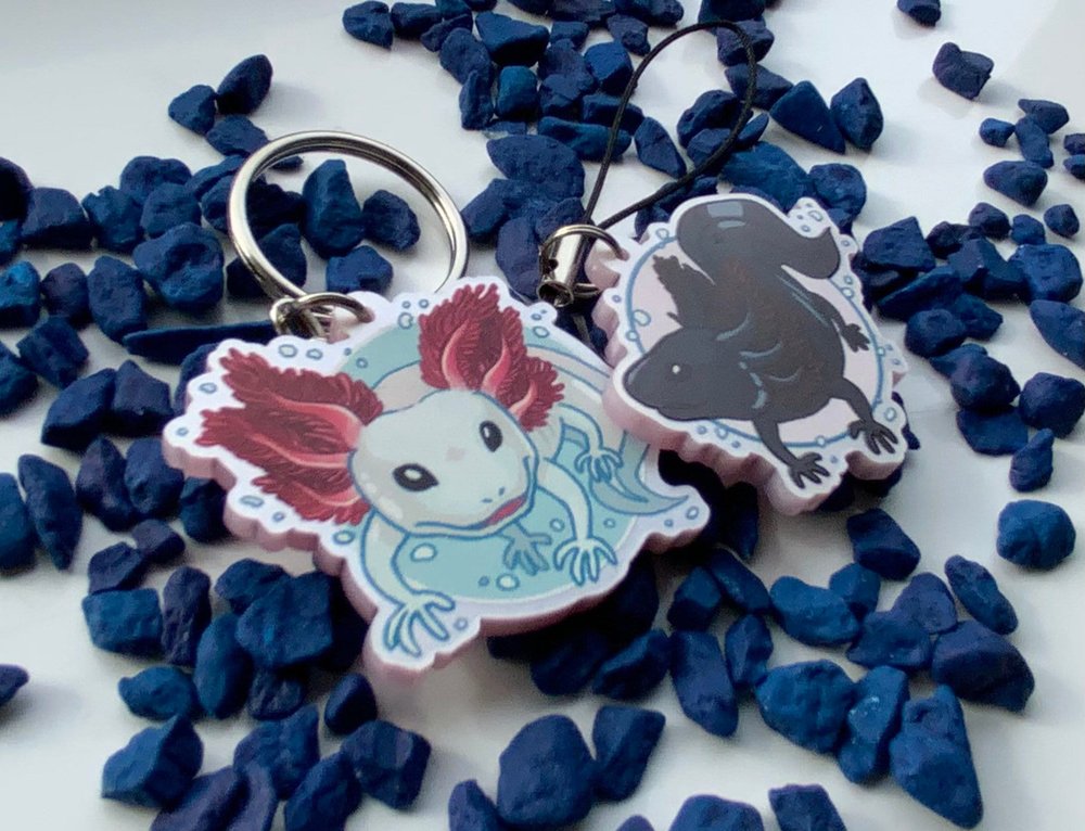 Blue Axolotl Double Sided Acrylic Charm – EveoArt