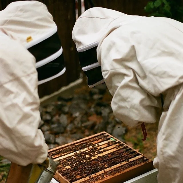 ¿Cuál va a ser tu plan para el sábado?
En ✨BCN Honey Fest✨ queremos celebrar la importancia de las abejas disfrutando y aprendiendo de ellas. 
Abejas, artesanía, música, flores, comida, dulces, workshops, BEETalks.