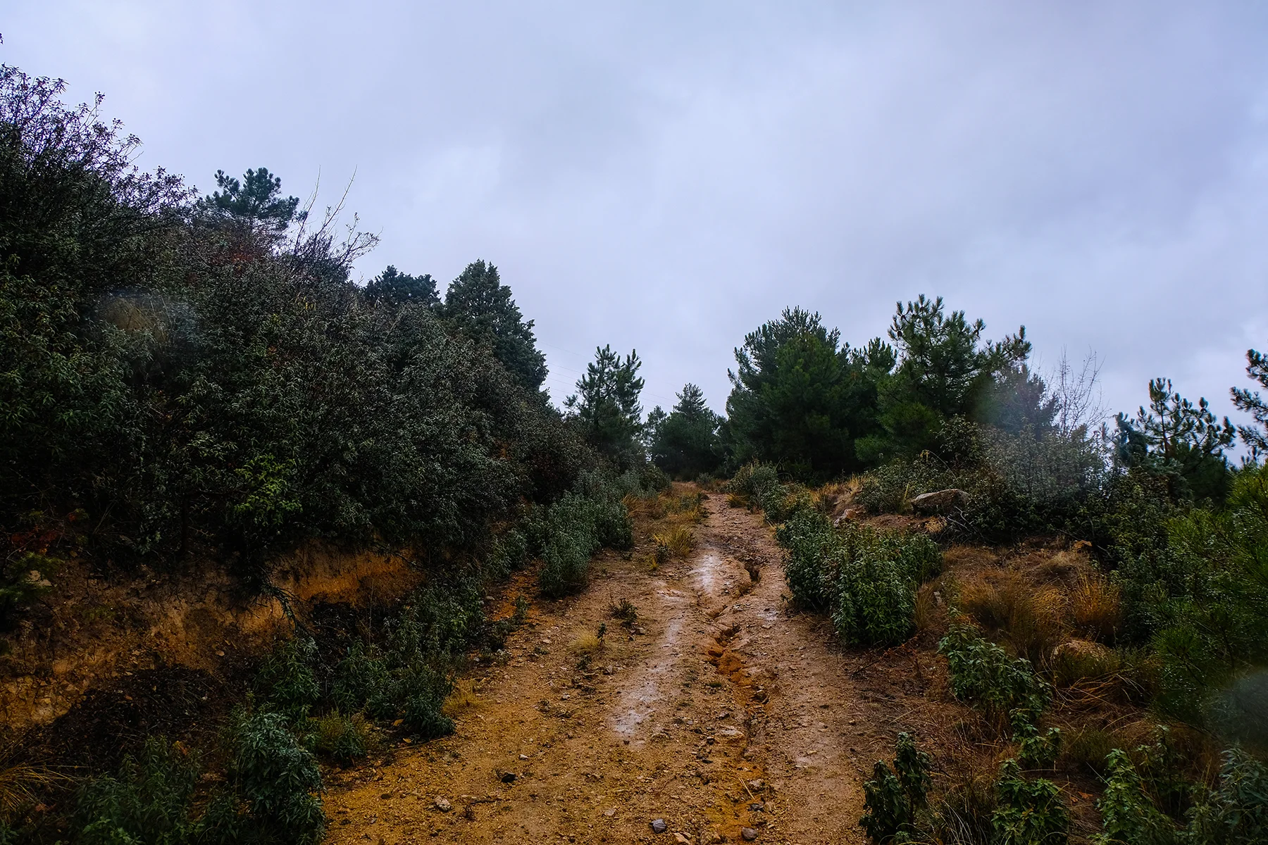DSCF4423.jpg