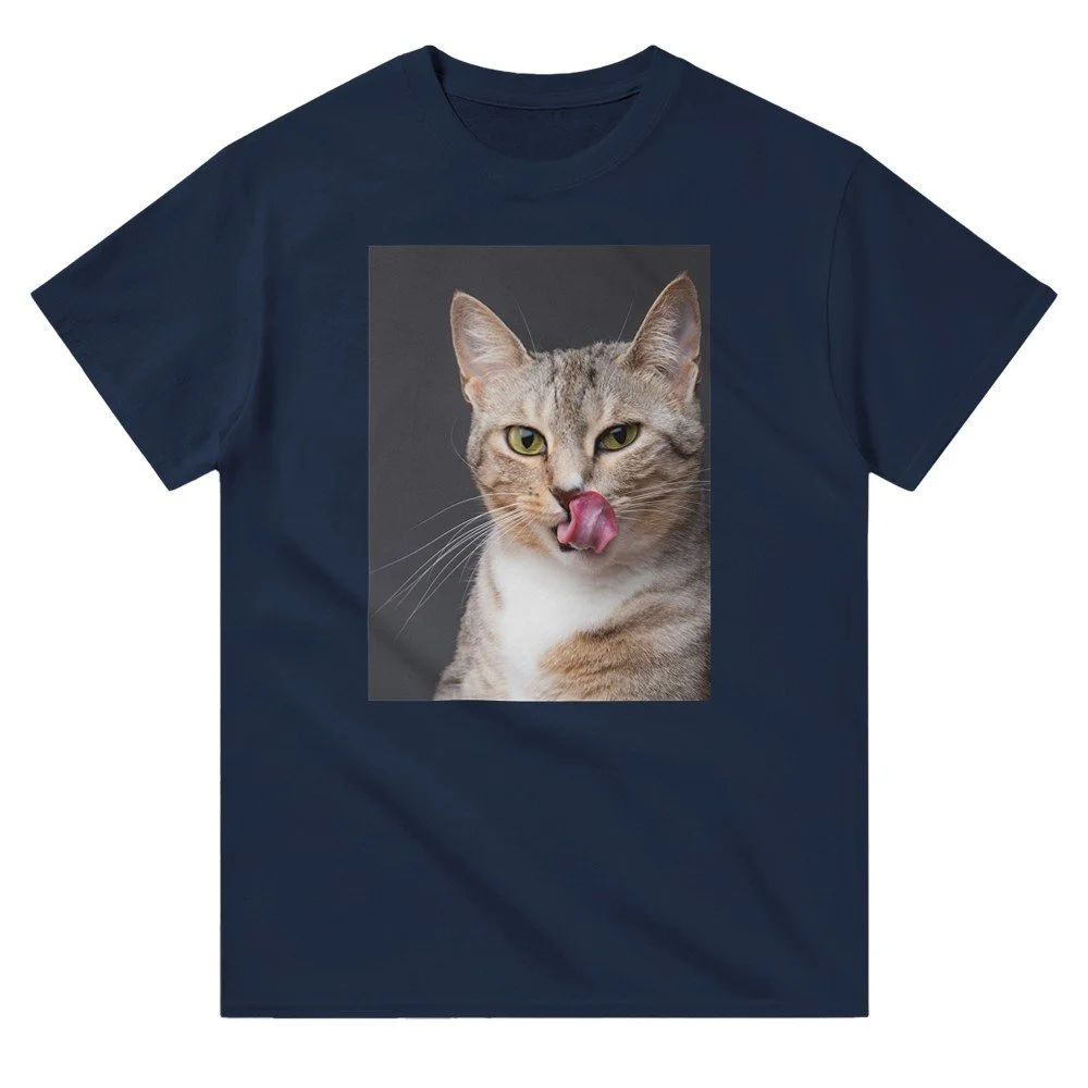 tmp-305-MUE2OyU660ok