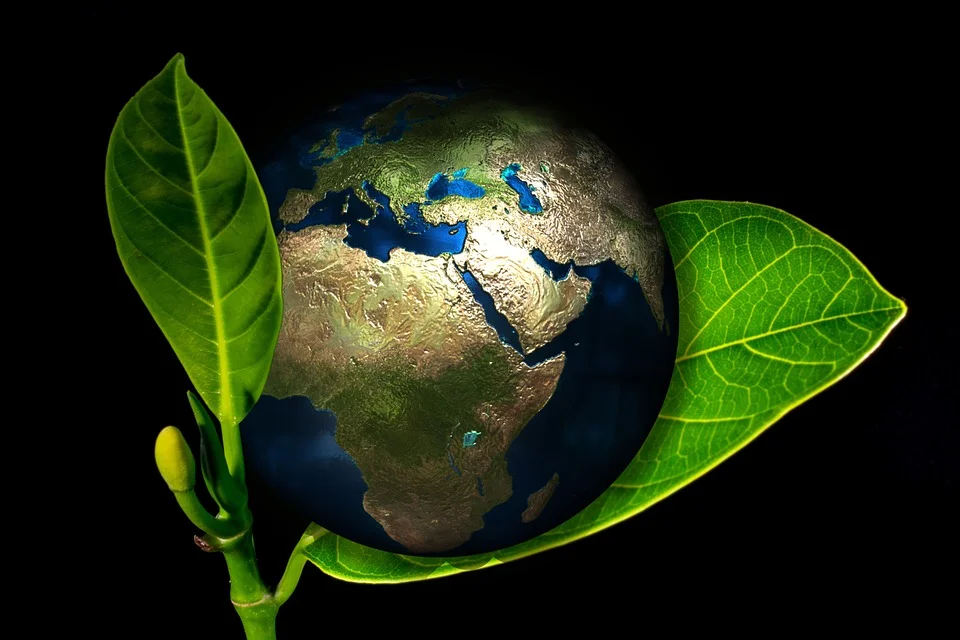 Intersect launches "Go-Green!" option