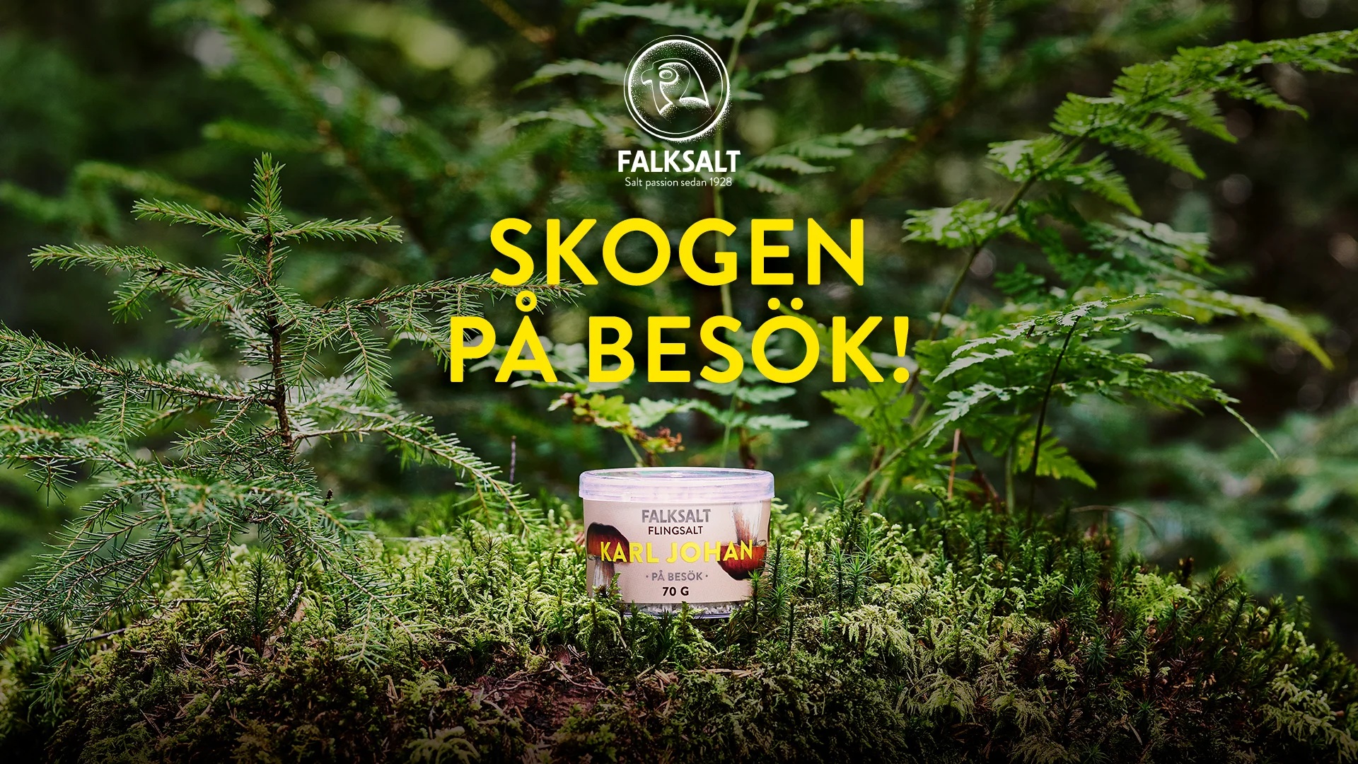 skogenpabesok.jpg