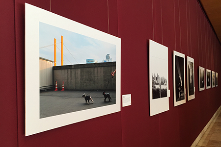 2015 Head On Photo festival