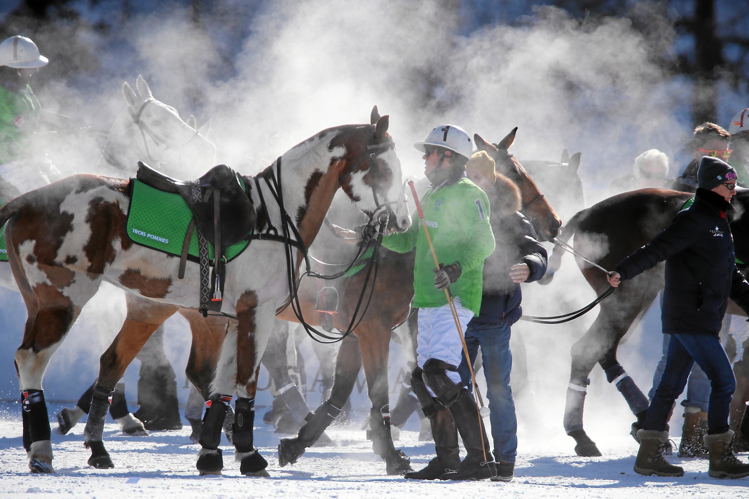snowpolo7.jpg
