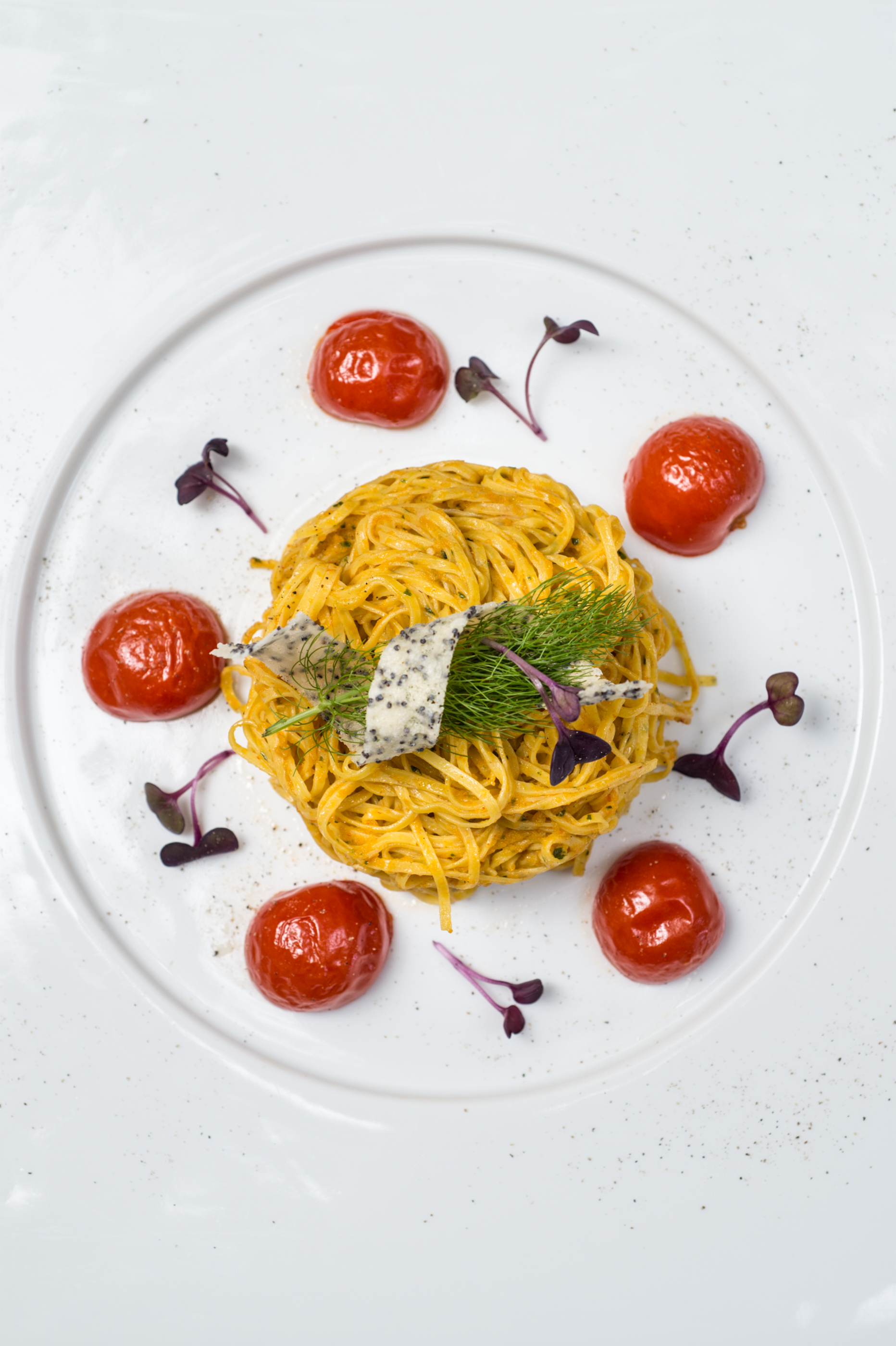The freshest local ingredients for you to enjoy
