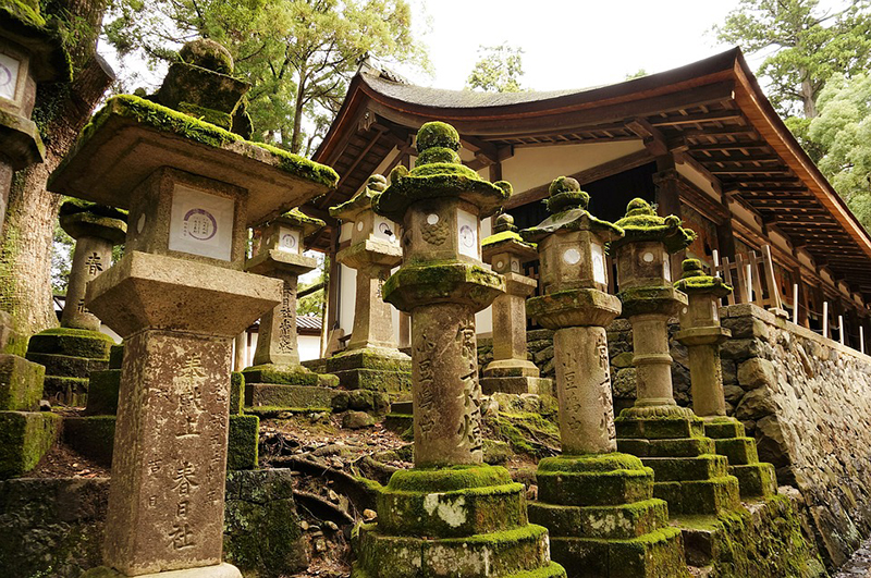 Stone lanterns at Kasuga Taisha Shrine