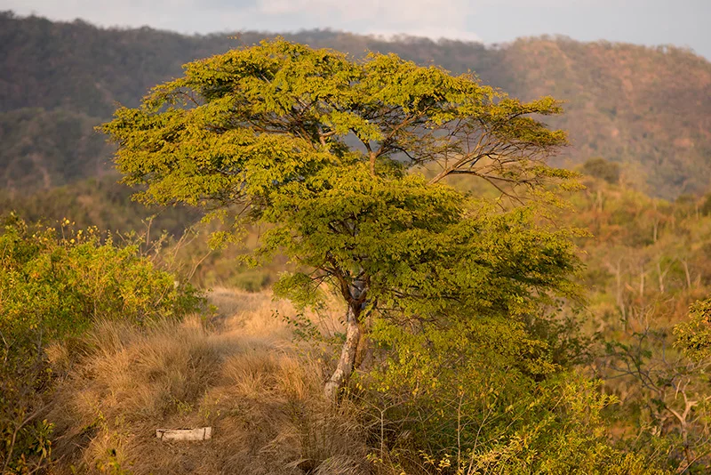 costa-rica-56.jpg