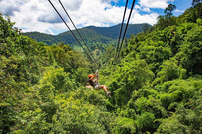 zipline.jpg