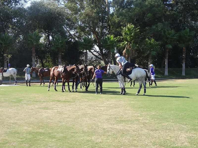 polotrining.jpg