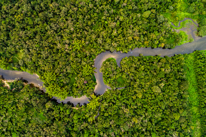 Peru-Amazon_AerialView.jpg