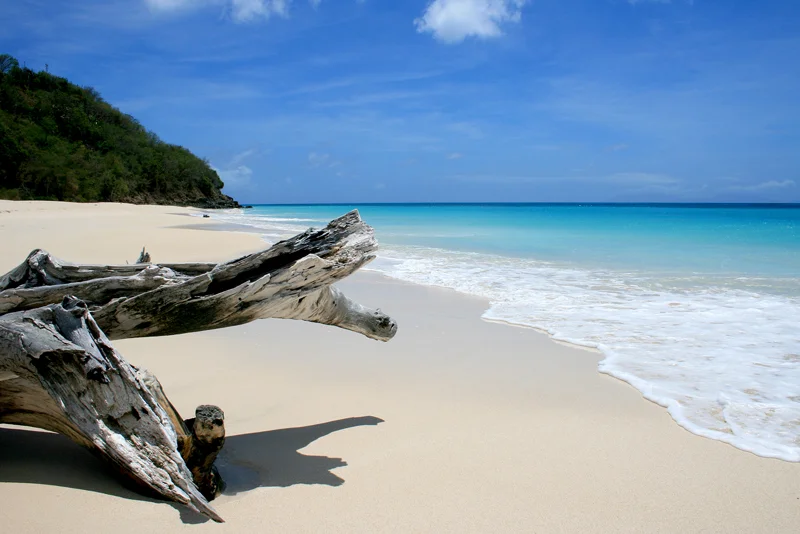 Antigua-beach.jpg