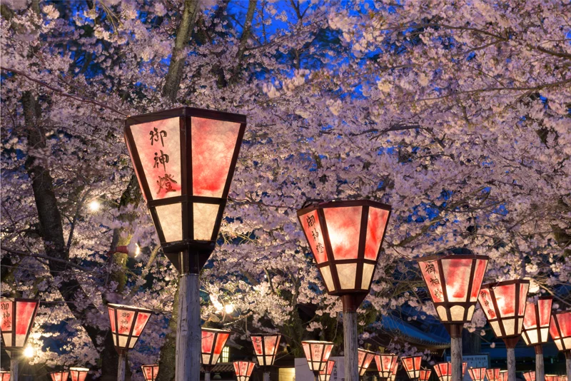 kyoto-japan.jpg