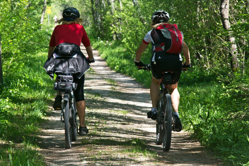 forest-cycling-2520007_1920.jpg