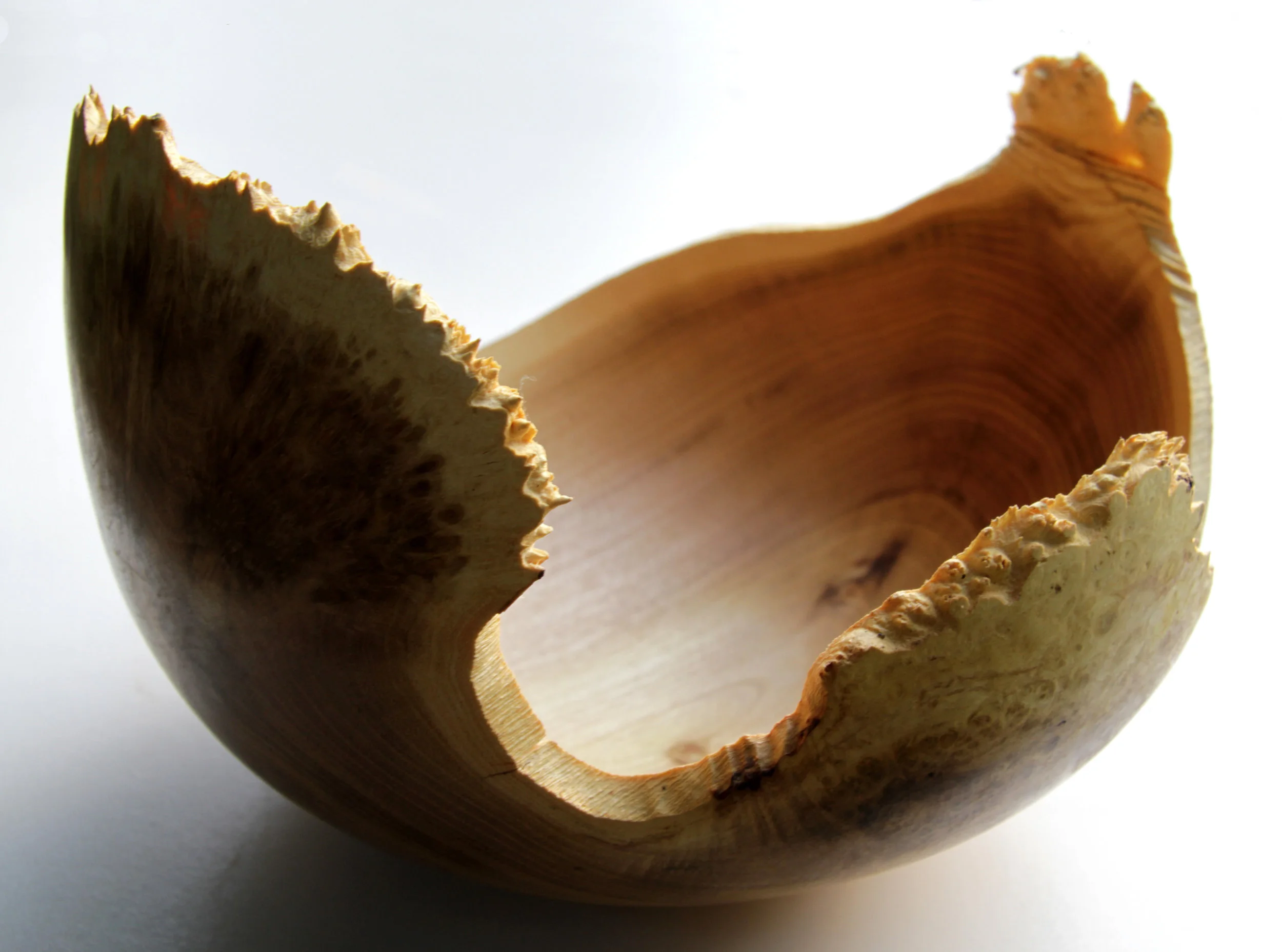  After Hokusai. Turned Syringa bowl with burrs forming interesting wave pattern. 