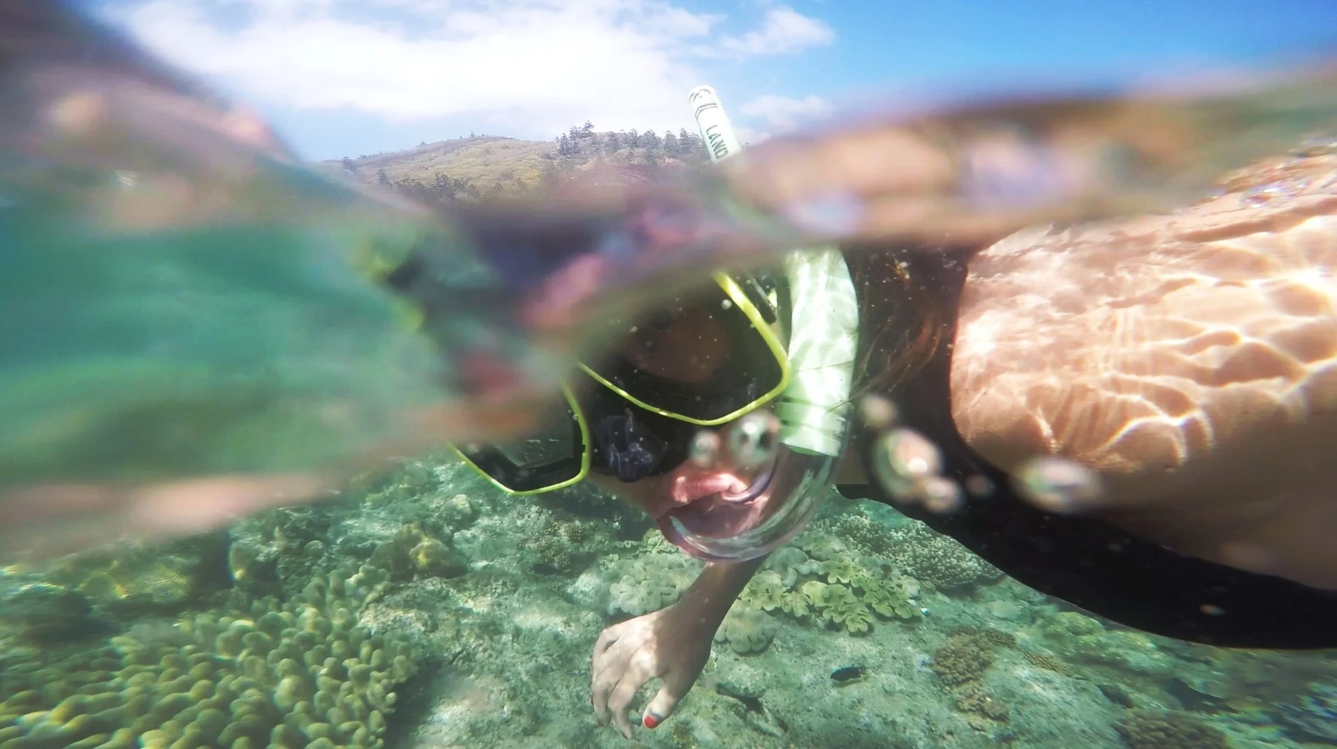 underwater-691415_1920.jpg