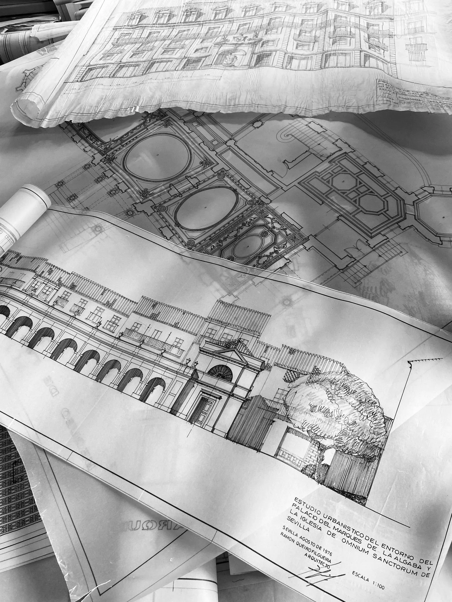 WhatsApp Image 2022-01-27 at 14.00.23.jpeg