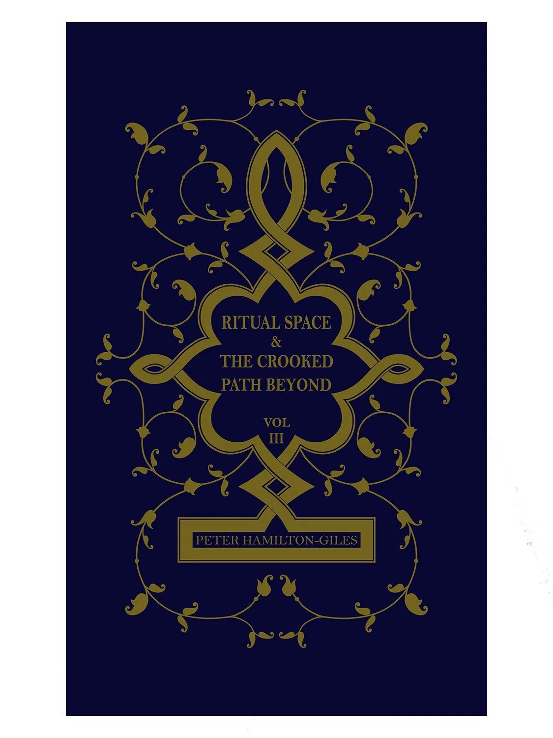 RS 3 Special Standard.jpg