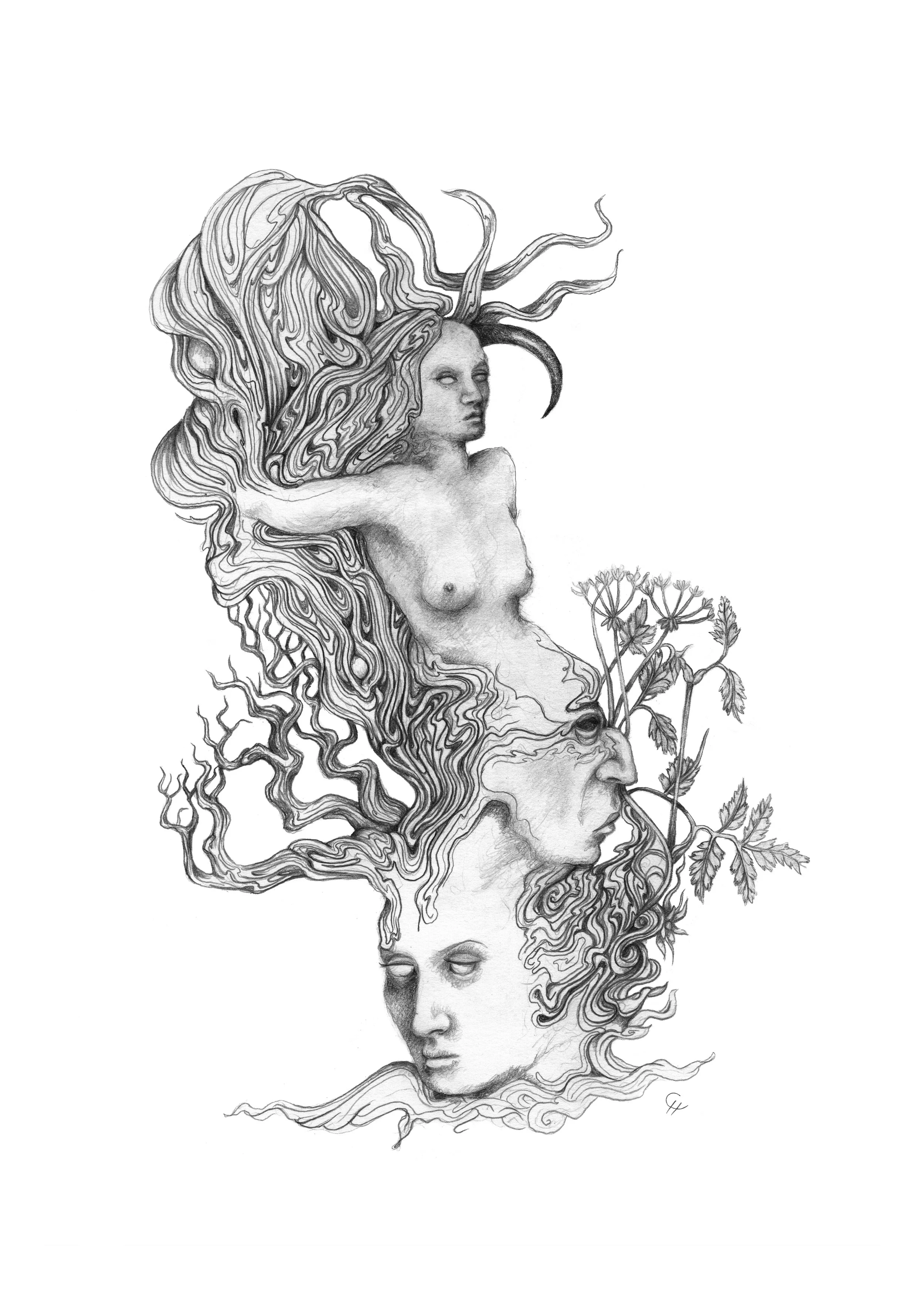 Codex 1 - Designations of the Intangible