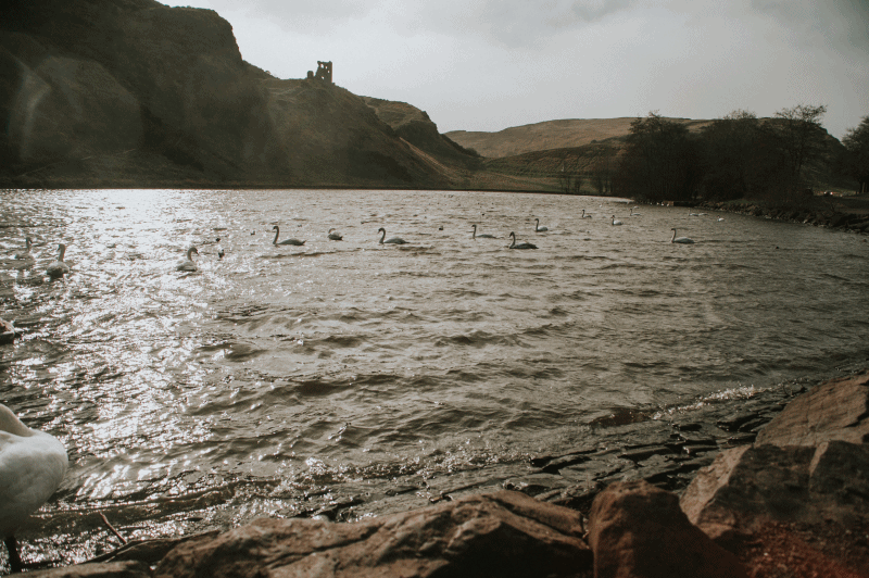 GIF1.gif