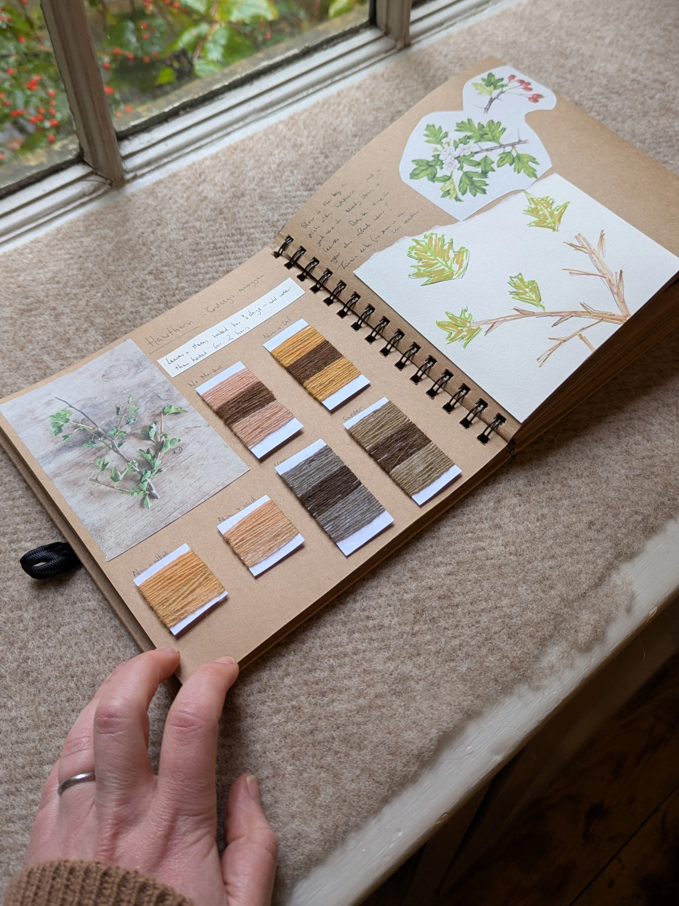 Future Fashion Landscapes -
2024 - 25 - “Fostering biodiversity through collaborations between farmers, designers, and processors of native and rare breed wool.” A design-led project where designers are paired with wool producing farms in their regio