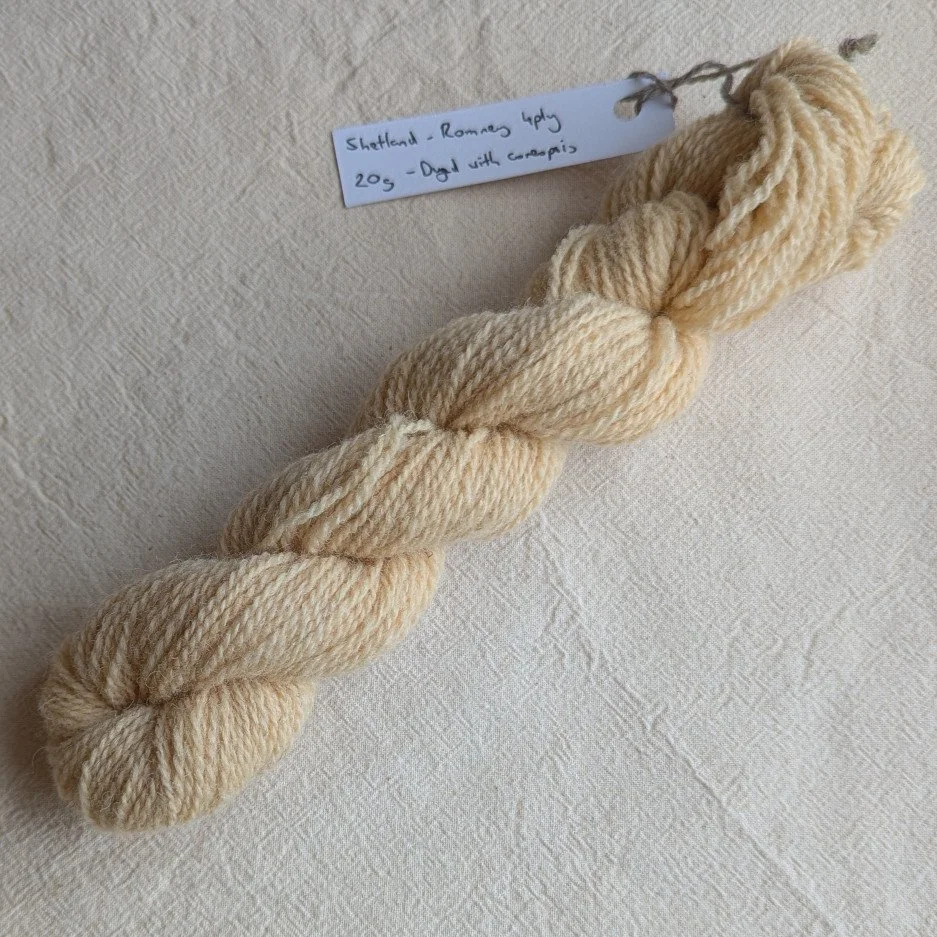 Ria Burns Knitwear Naturally Dyed Mini Skein 19 web.jpg
