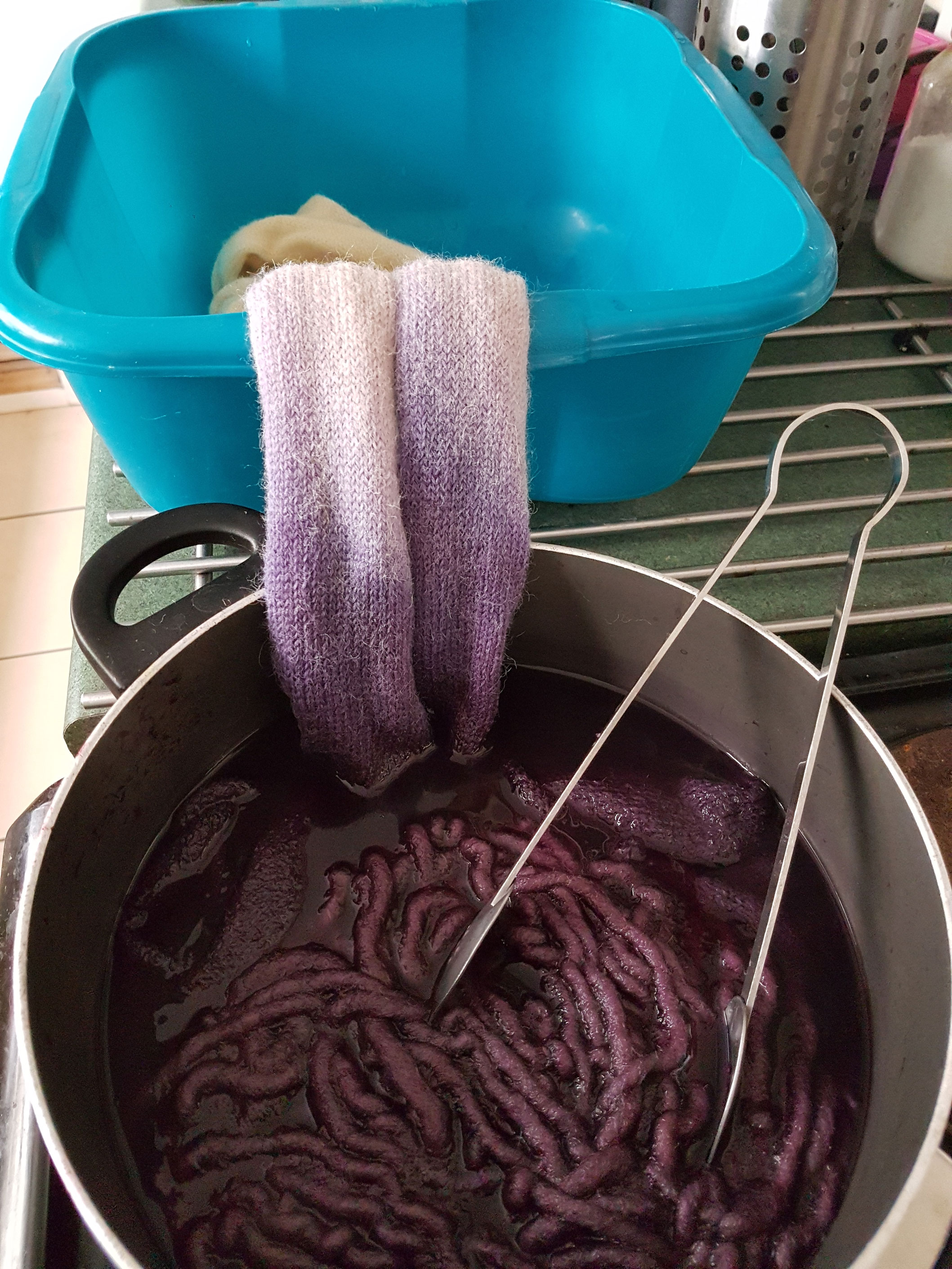 Burns, R. (2017) Blackberry Dye 2. (Own Collection)