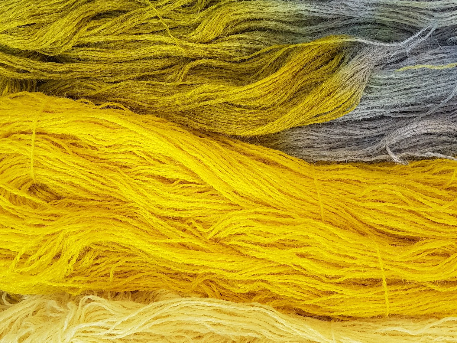 Natural dye workshop.jpg