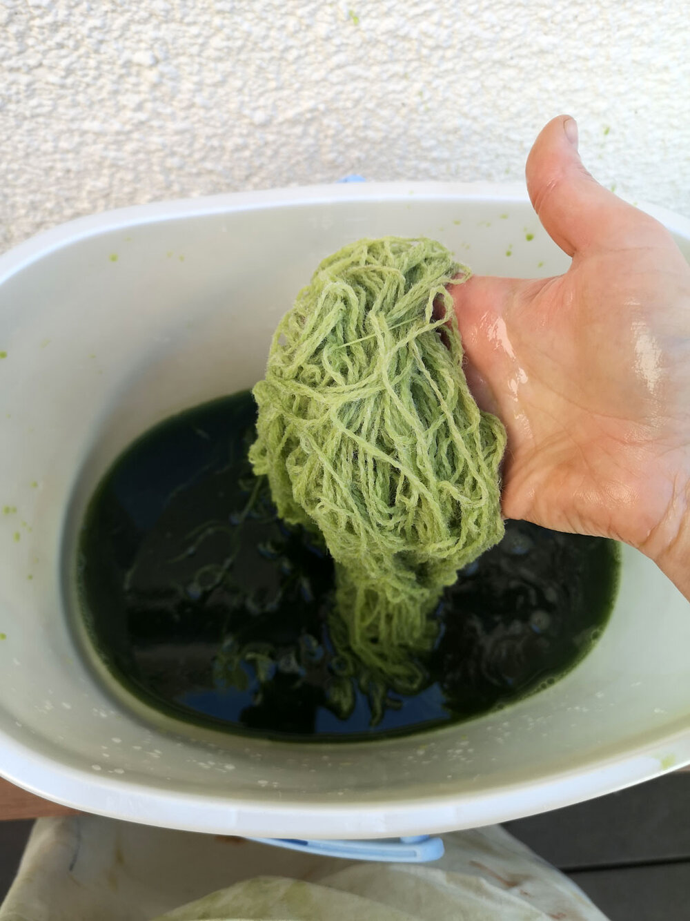 Ria-Burns-Knitwear-Homegrown-Woad-Fresh-Leaf-Extraction-Yarn-in-Liquid.jpg