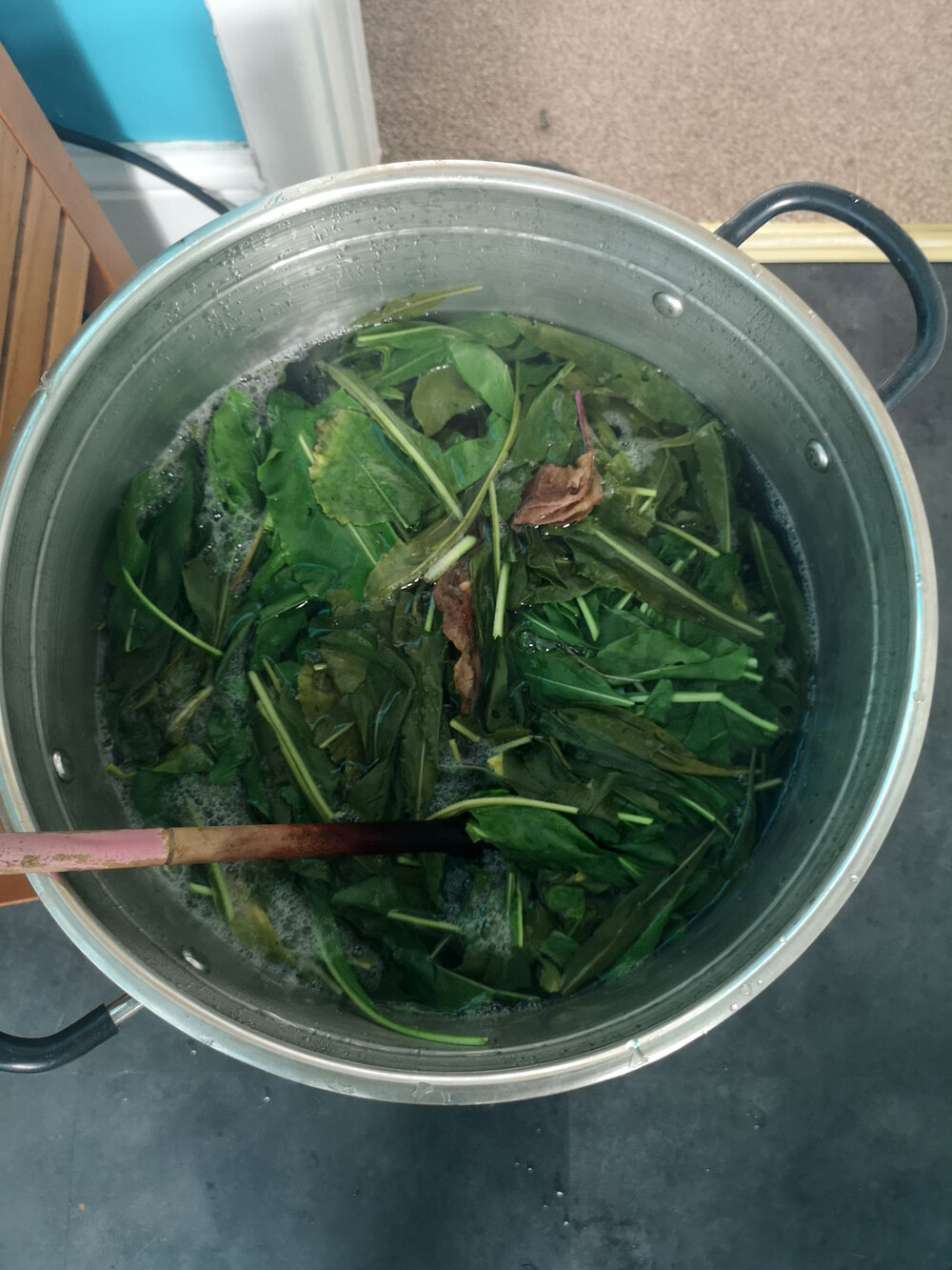 Ria-Burns-Knitwear-Homegrown-Woad-Pigment-Extraction-Leaves-in-Hot-Water.jpg