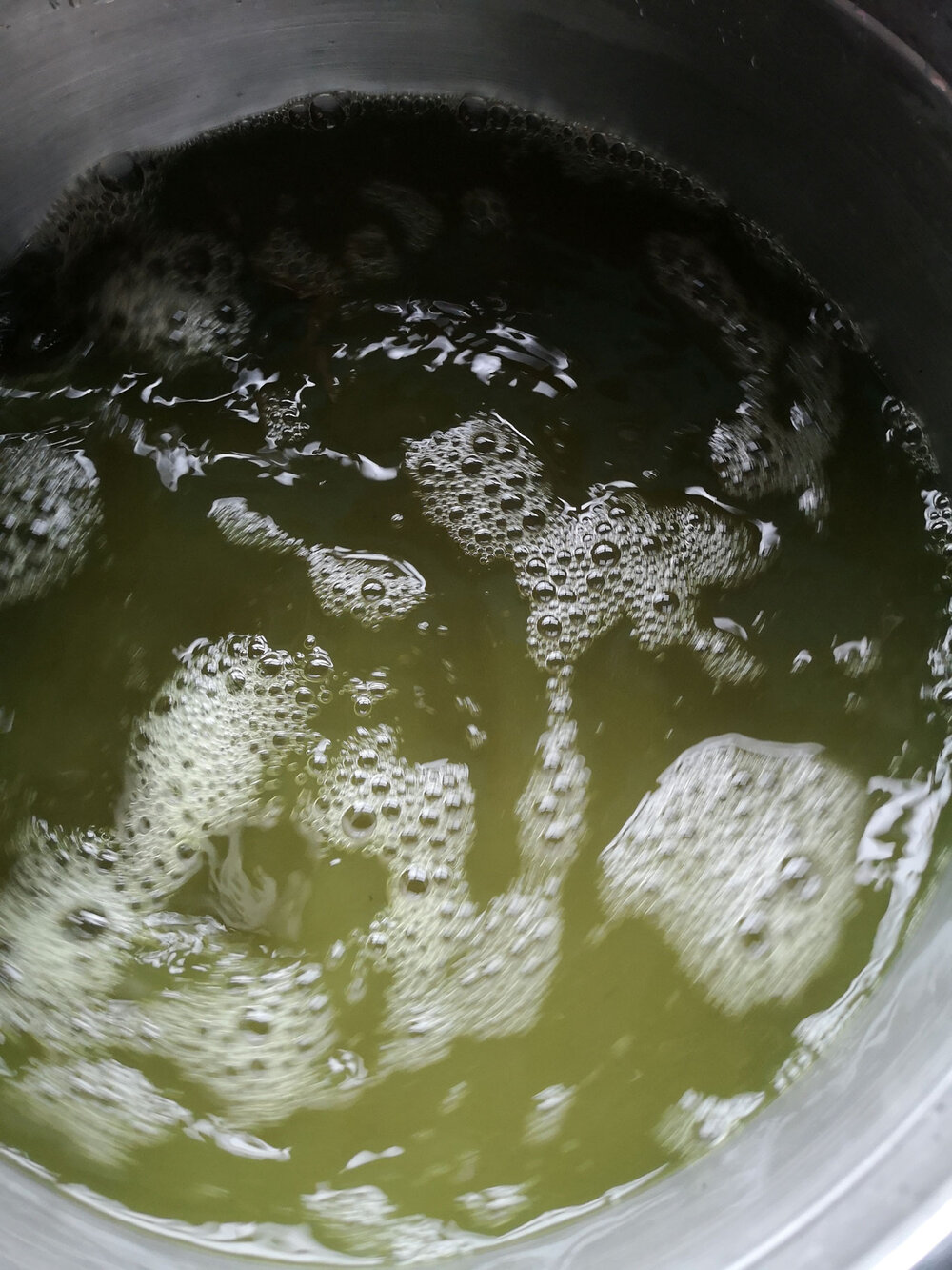 Ria-Burns-Knitwear-Homegrown-Woad-Pigment-Extraction-Liquid.jpg