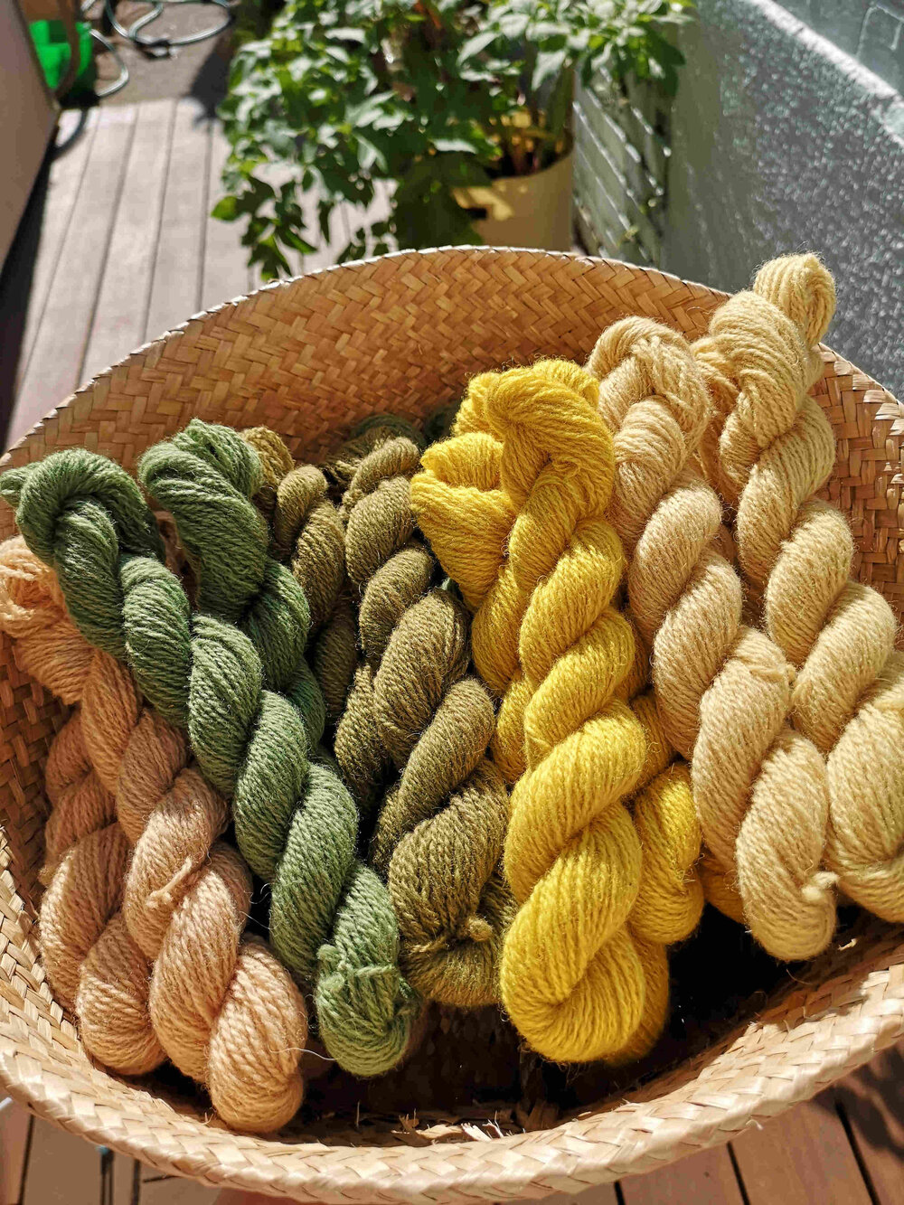 Ria Burns Knitwear Naturally Dyed Yarn Spring Yarn Club Mini Skeins in Basket 1 web.jpg