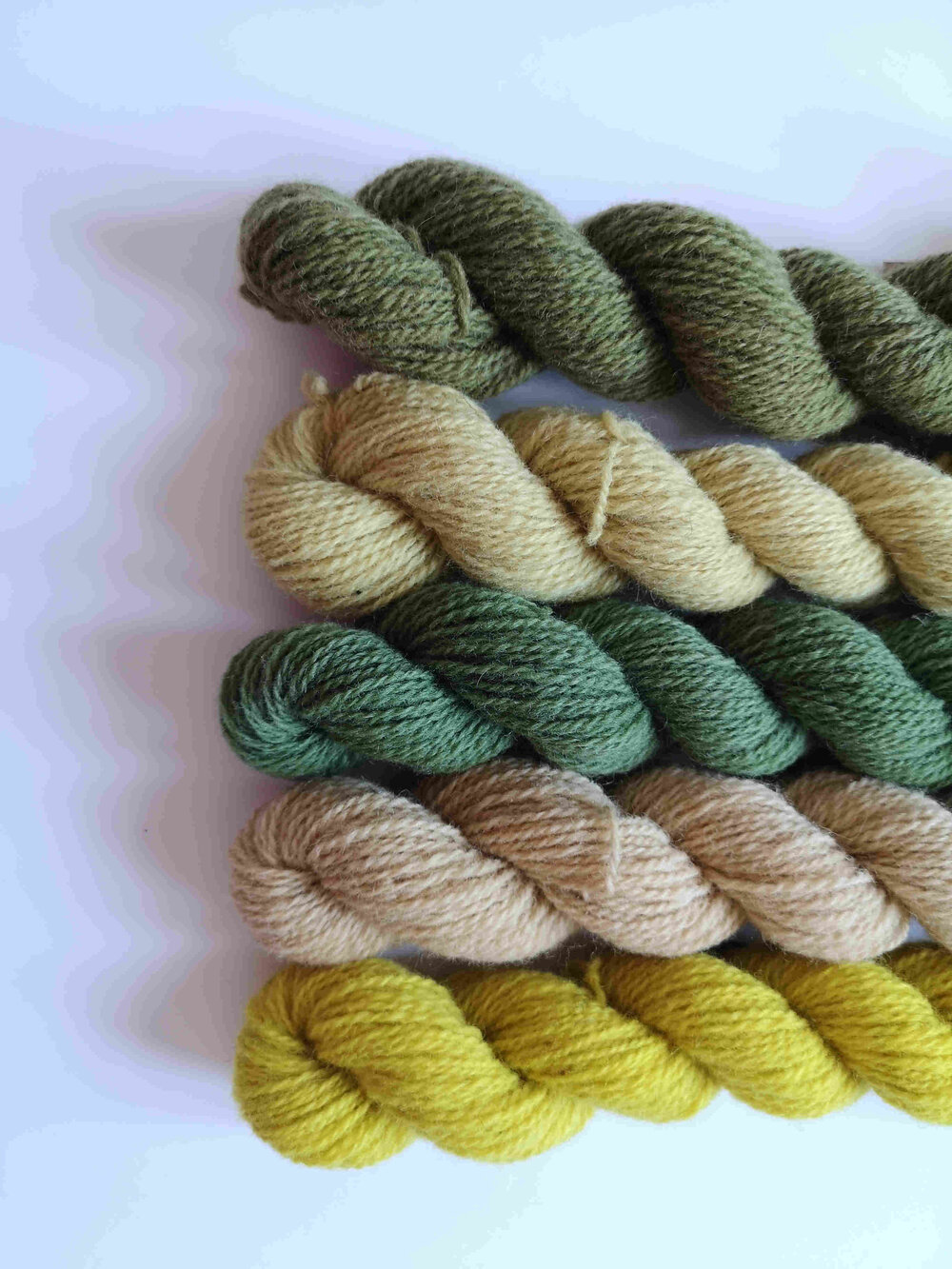 Ria Burns Knitwear Naturally Dyed Yarn Spring Yarn Club Mini Skeins 1 web.jpg