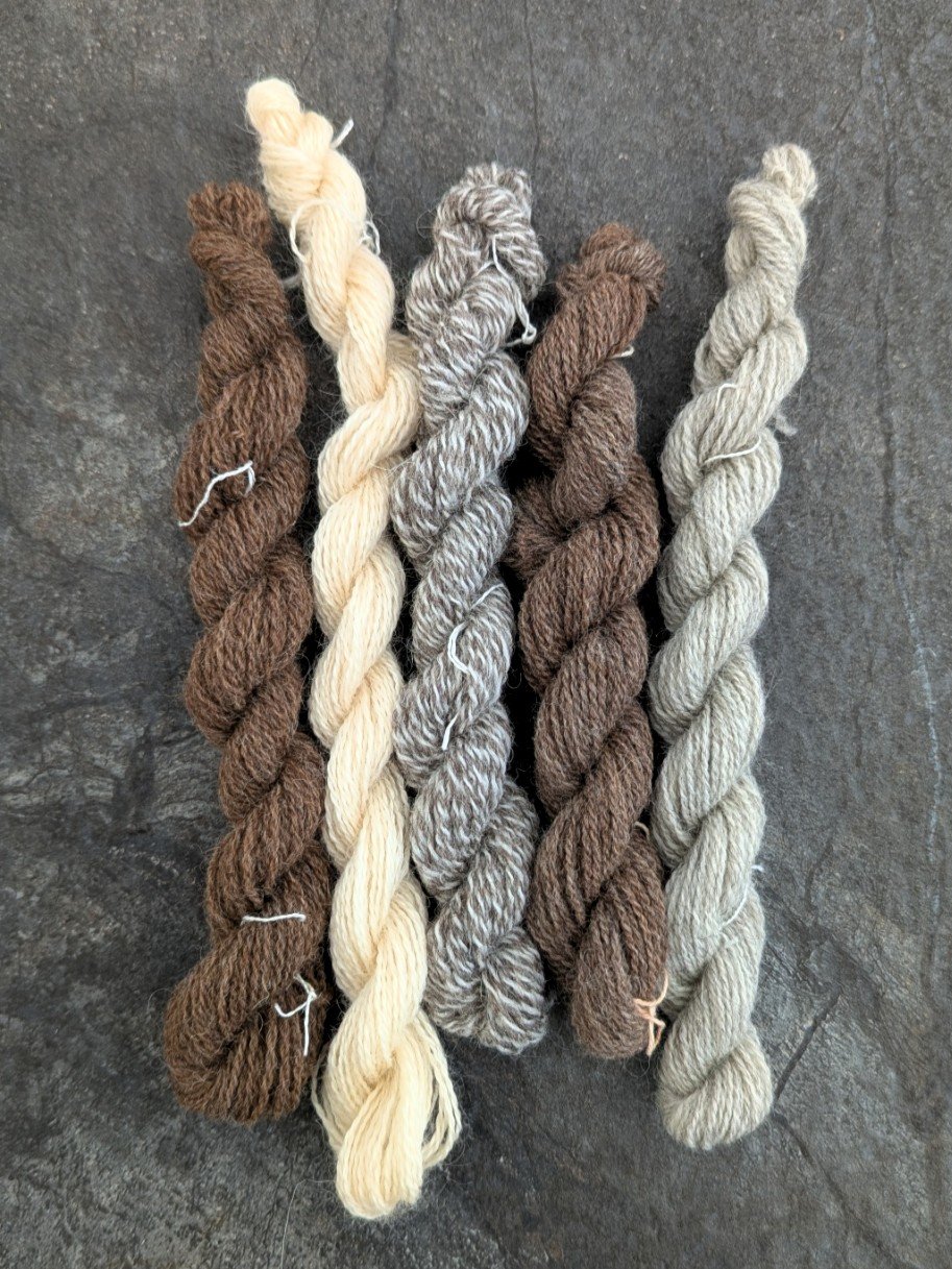 Ria Burns Knitwear Pre Mordanted Mini Skeins 4 ply.jpg