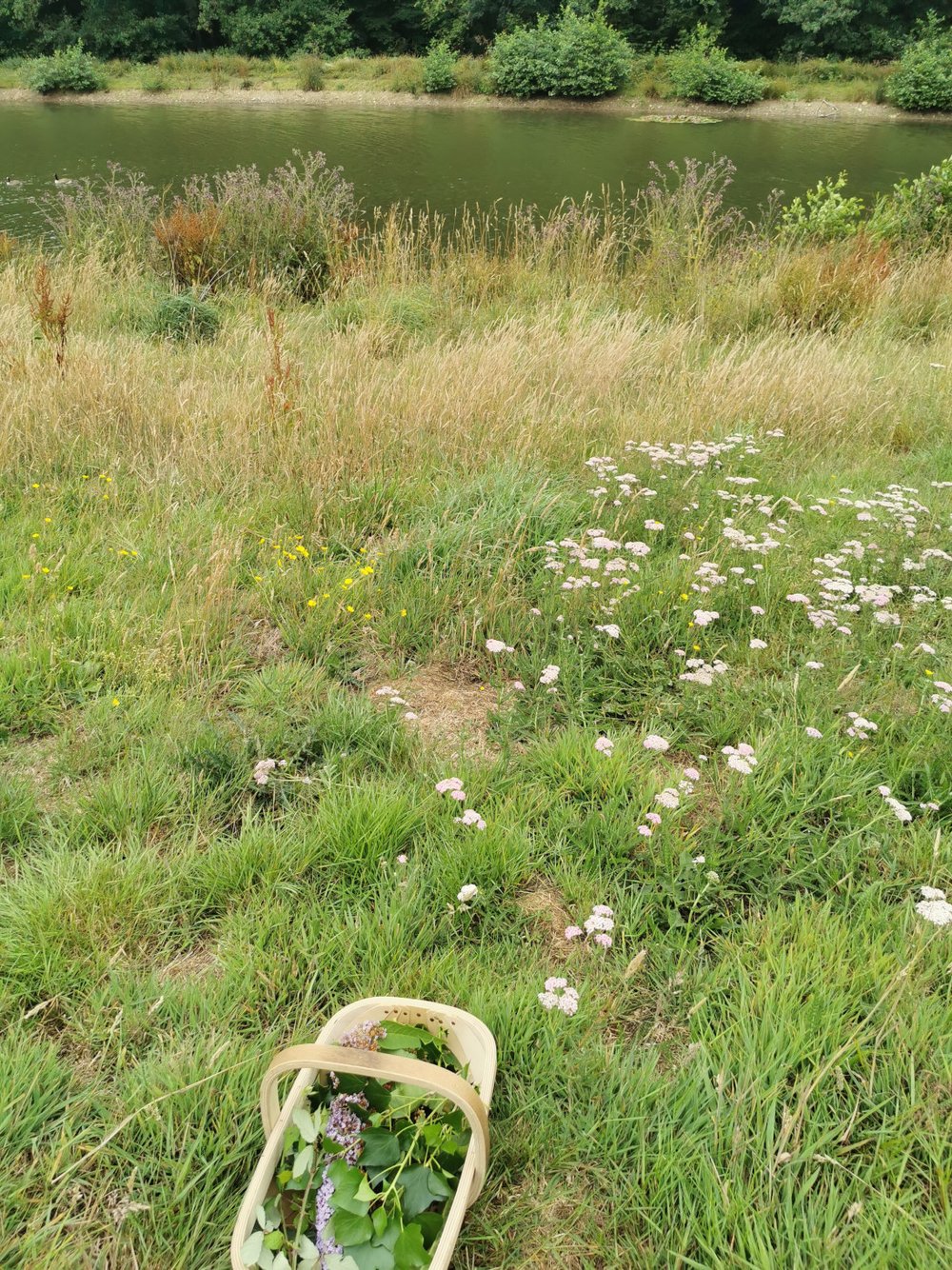 Baddaford Farm, Devon