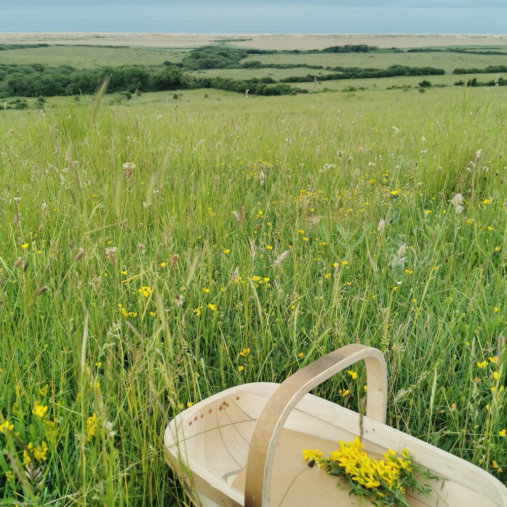 Tamarisk Farm, Dorset