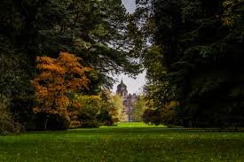 DROP-IN WORKSHOPS: Fabulous Fibres at Westonbirt