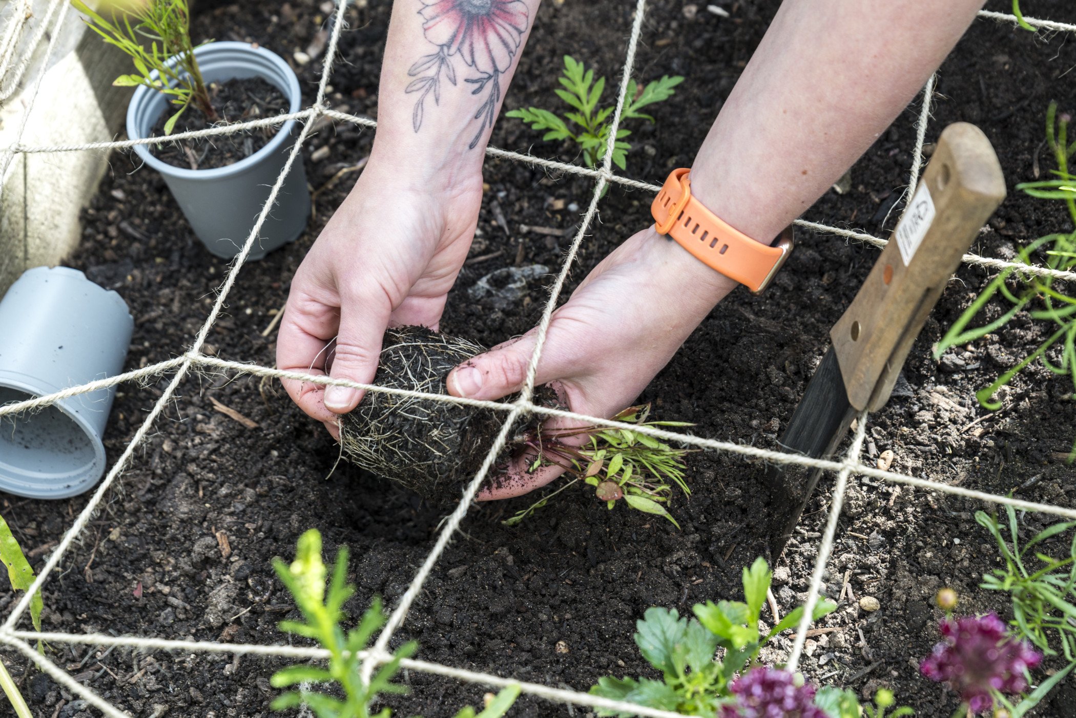 Why Spring is a Great Time to Join Seed to Skein