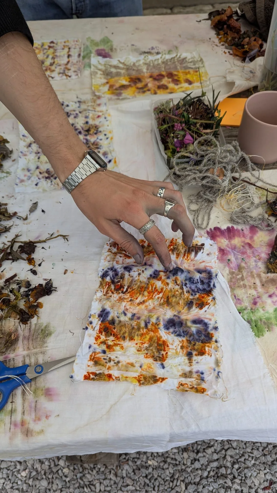 WORKSHOP: Bundle Dyeing with Native Plants - Bristol Festival of Nature